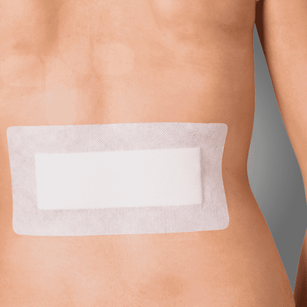 AFID20S_02_1000px.png AFID20S_02_1000px.png