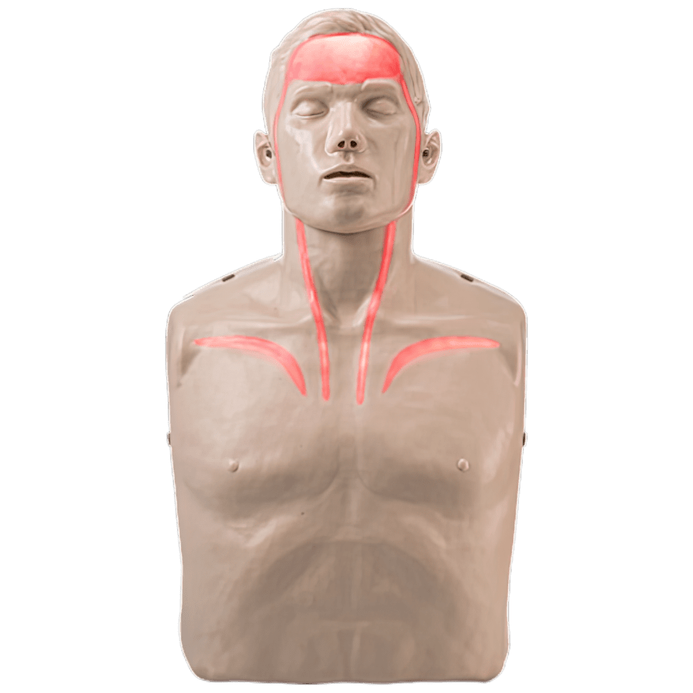 IM13-R_01_1000px.png BRAYDEN Pulse CPR Manikin (With Lights)