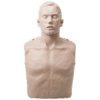 IM13-S_01_1000px.png BRAYDEN CPR Manikin (Without Lights)