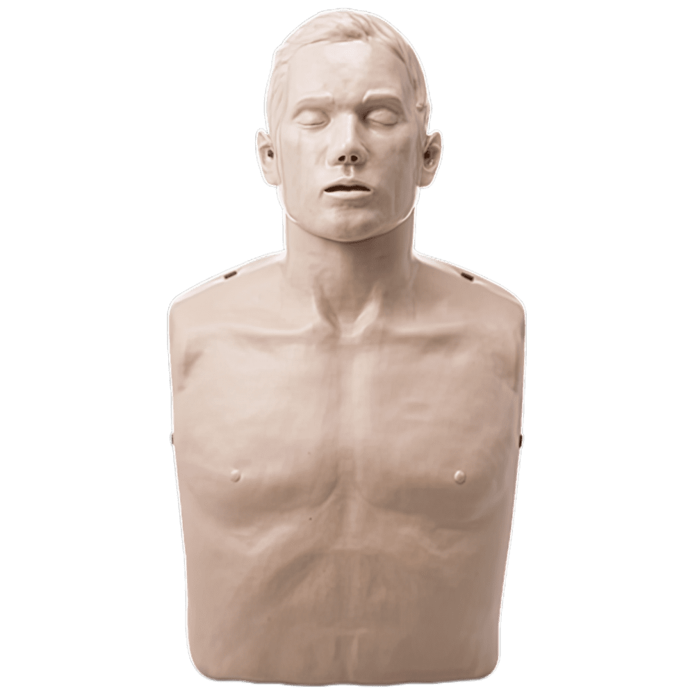 IM13-S_01_1000px.png BRAYDEN CPR Manikin (Without Lights)