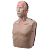IM16-R_01_1000px.png BRAYDEN PRO CPR Manikin (Bluetooth Connectivity)